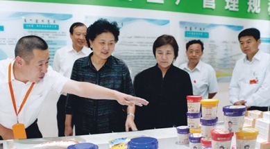 原中共中央政治局委員、國務(wù)院副總理劉延?xùn)|視察我公司